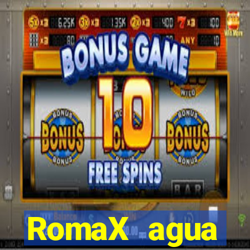 RomaX agua sanitaria fispq agua sanitaria romax